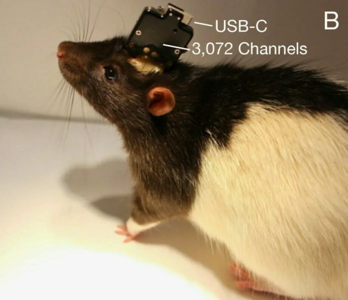 BB058EE2-6E90-4965-8B26-AF3B5AE6789A
